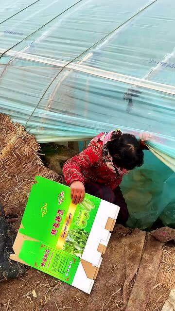 腊月瓜怎么吃 第1张 腊月瓜怎么吃 第1张